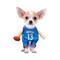 Best Furry Friends Basketball Player Pet Costume